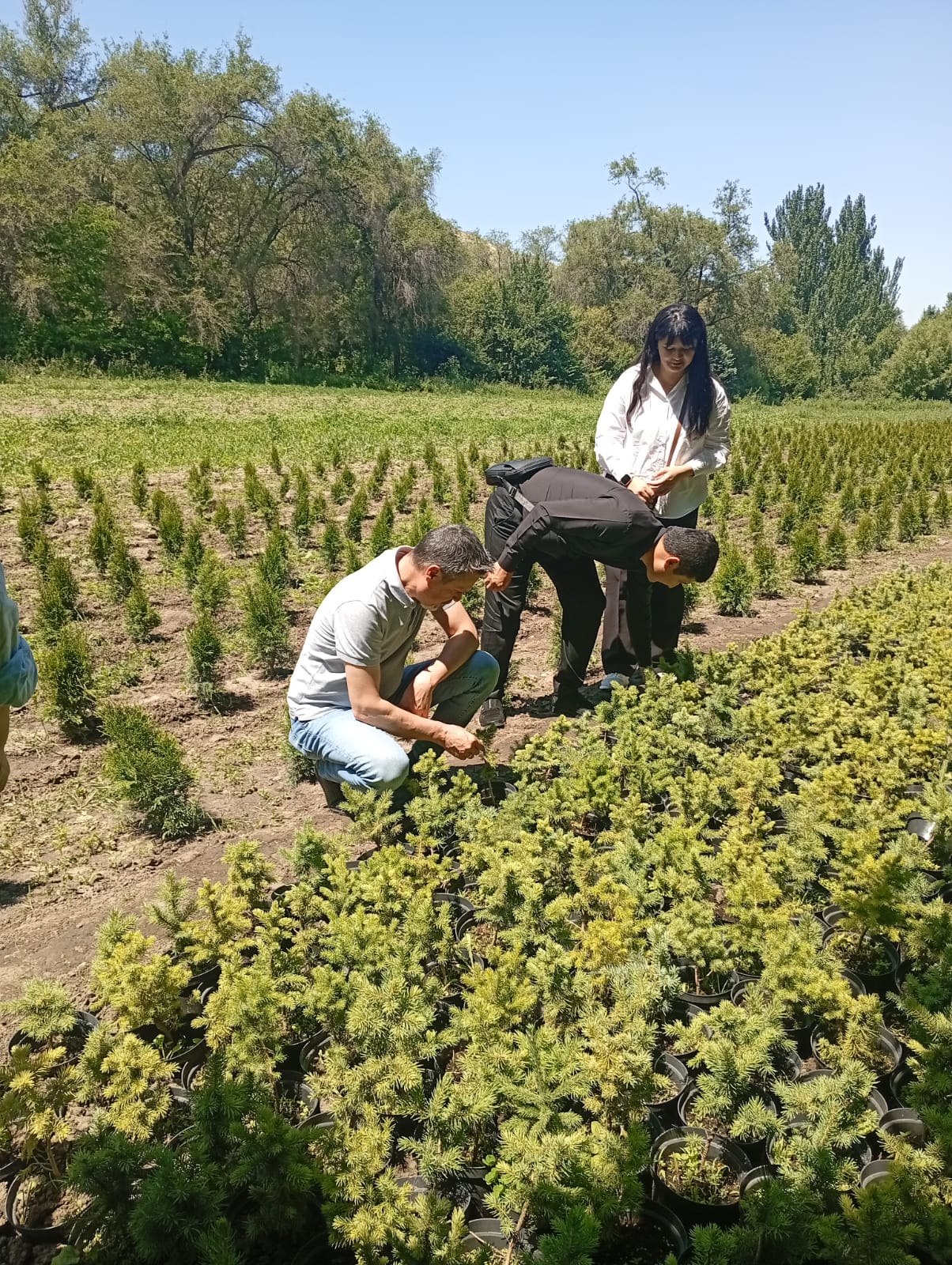 INTERNATIONAL SUMMER SCHOOL – 2026: FIELD PRACTICAL TRAINING AT KASKELEN FORESTRY, ILE-ALATAU STATE NATIONAL NATURE PARK